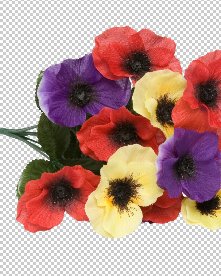 Background Removal after